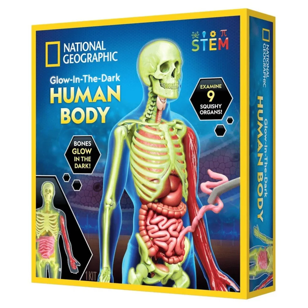 Anatomiasetti - Opi lisää kehosta