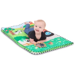 Baby Einstein – Aktiviteettimatto, Busy Barnyard