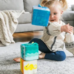 Baby Einstein - Kangas- ja aistipalikat vauvoille