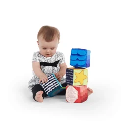 Baby Einstein - Kangas- ja aistipalikat vauvoille