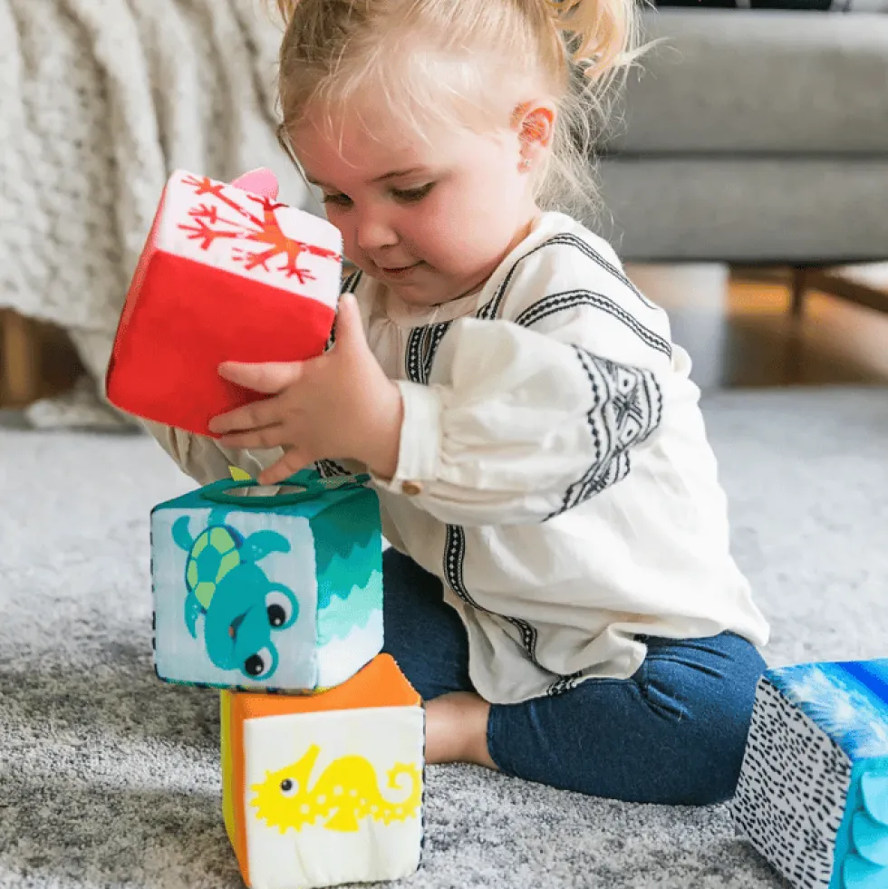 Baby Einstein - Kangas- ja aistipalikat vauvoille