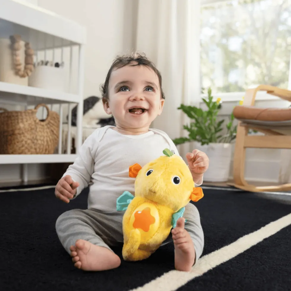 Baby Einstein - Merihevonen valolla ja musiikilla