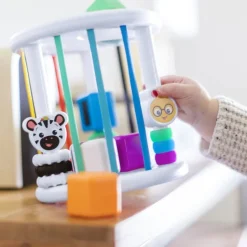 Baby Einstein - Palikkalaatikko