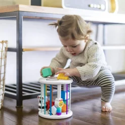 Baby Einstein - Palikkalaatikko