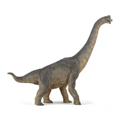 Brachiosaurus - P: 36 cm