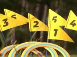 Discgolf