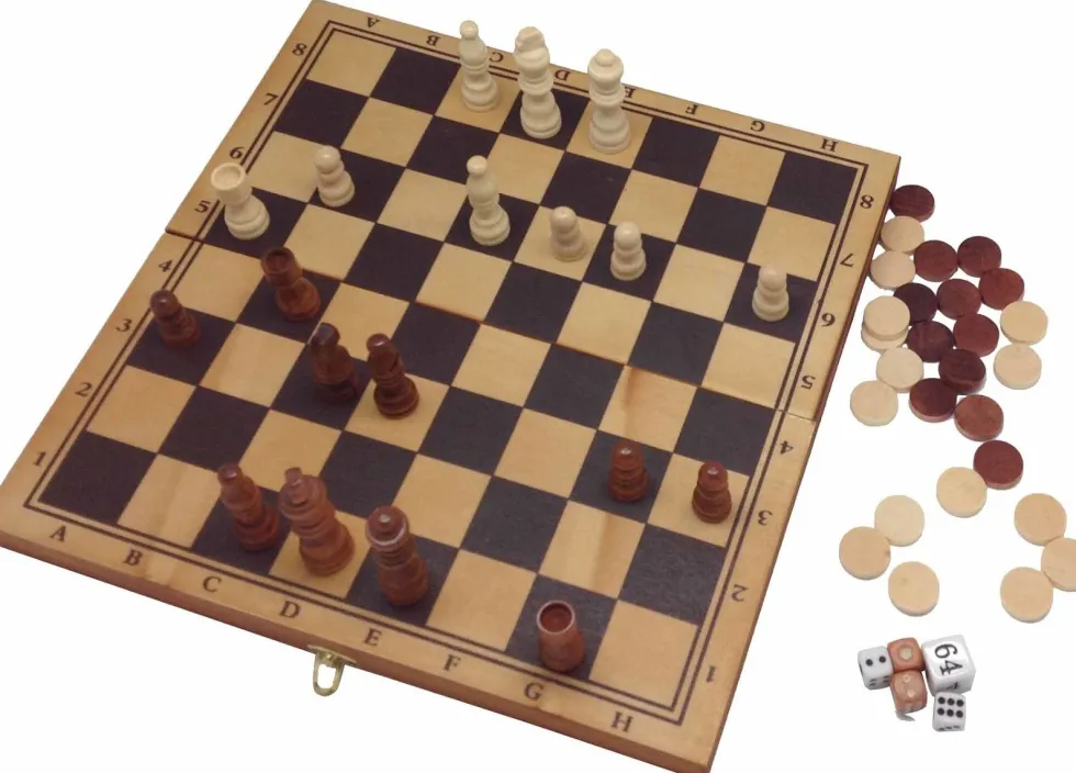 3-in-1 -peli - puisessa matkalaukussa