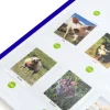 Interaktiivinen taulu - nauhoita ja soita