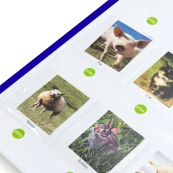 Interaktiivinen taulu - nauhoita ja soita