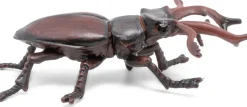 Kampasarvinen - P: 7 cm