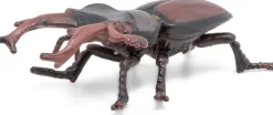 Kampasarvinen - P: 7 cm