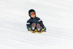 Liukuri/Snowbum - Kultainen