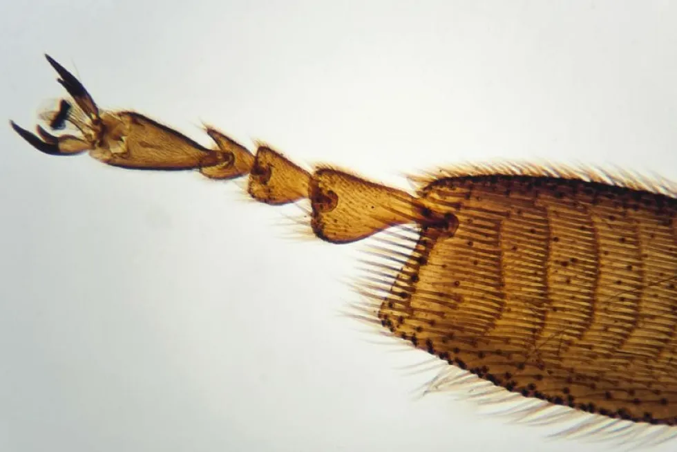 Mikroskooppi tutkimusretkille