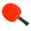 Pöytätennismaila, 1 kpl