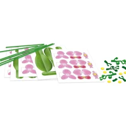 Rakenna (paperi)kukka – Orkidea