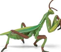 Rukoilijasirkka - P: 10 cm