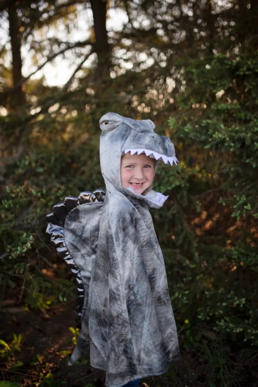 Spinosaurus - 4–6 v.