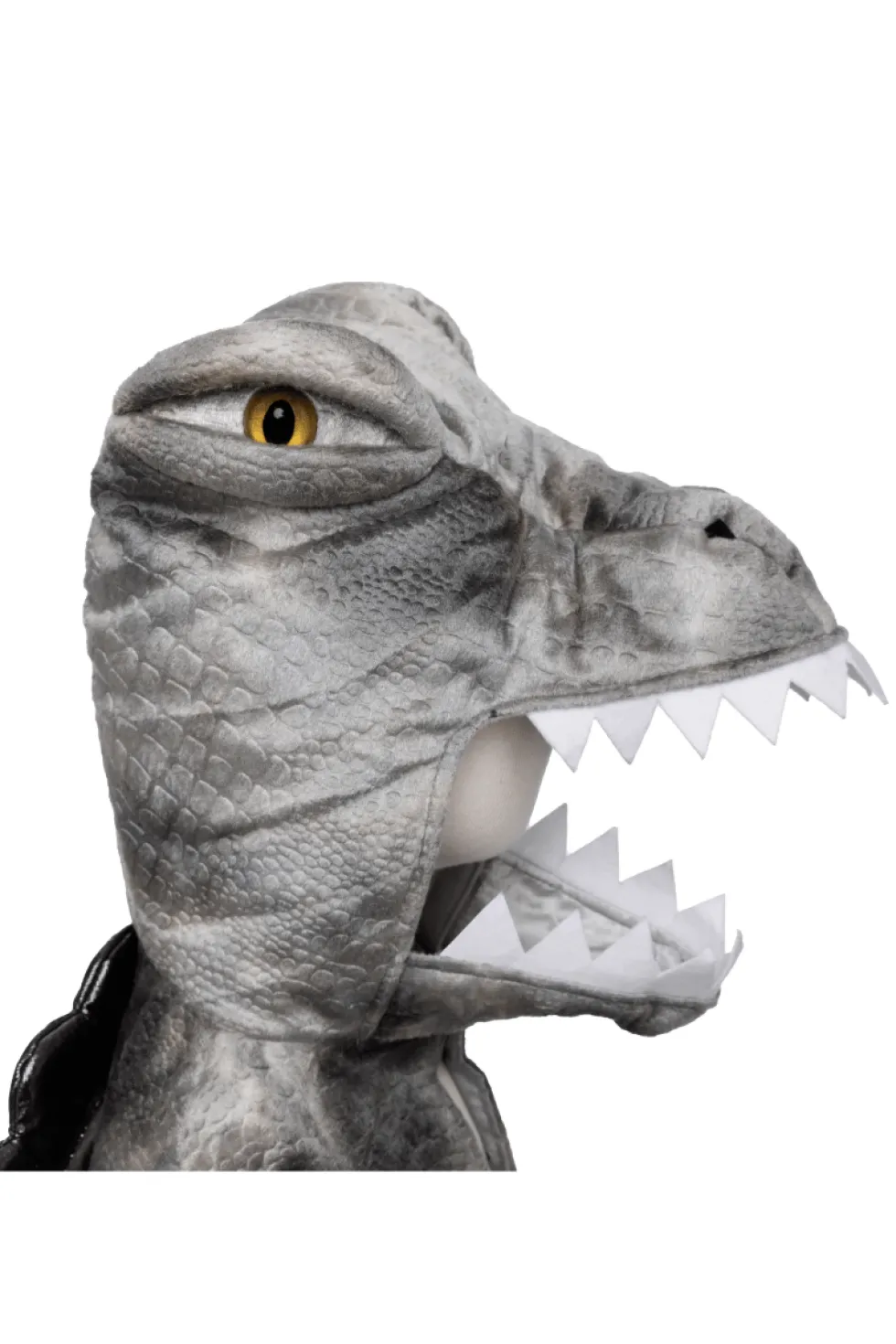 Spinosaurus - 4–6 v.
