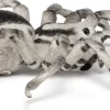 Tarantula - Ø11,5 cm