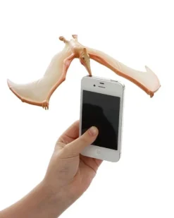 Tasapainoileva lentolisko - lentävä Pteranodon