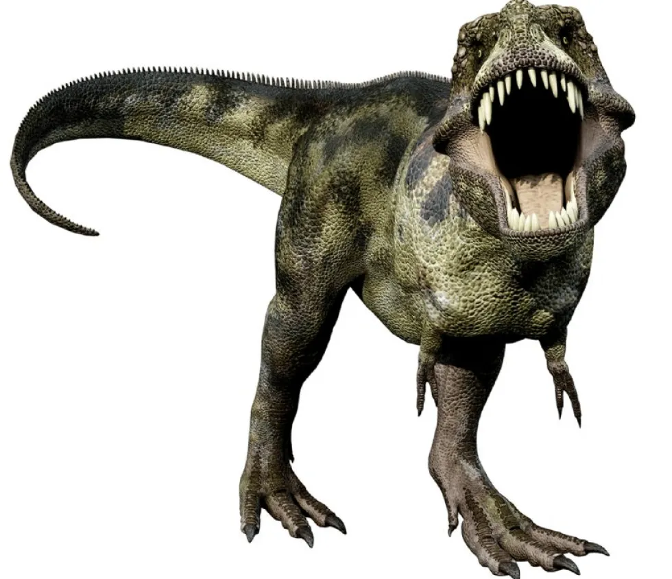 Taskulamppu diakuvilla - Dinosaurukset