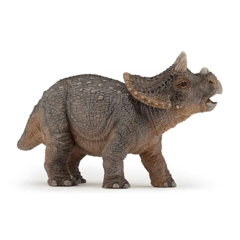 Triceratops-poikanen - P: 9,7 cm