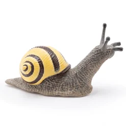 Tummatarhakotilo - P: 6 cm