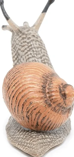 Viinimäkikotilo - P: 6 cm